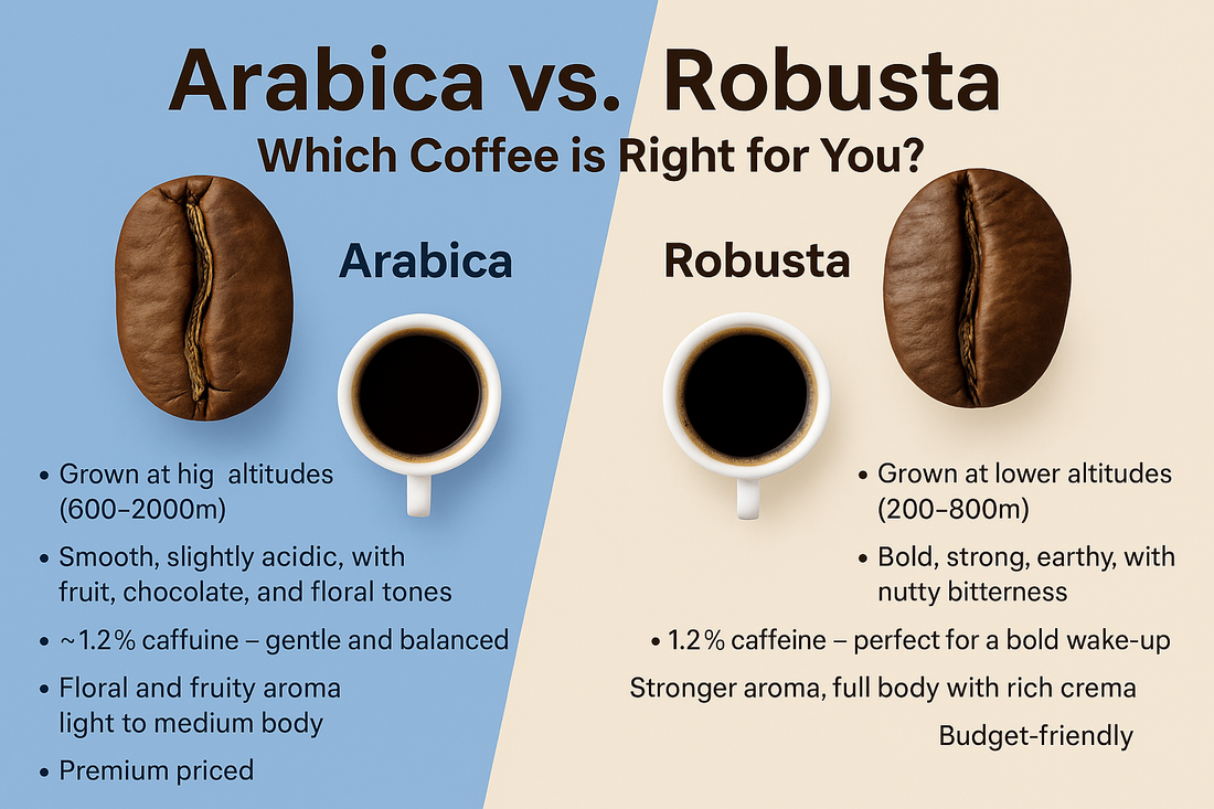 Arabica vs. Robusta: Which Coffee is Right for You?