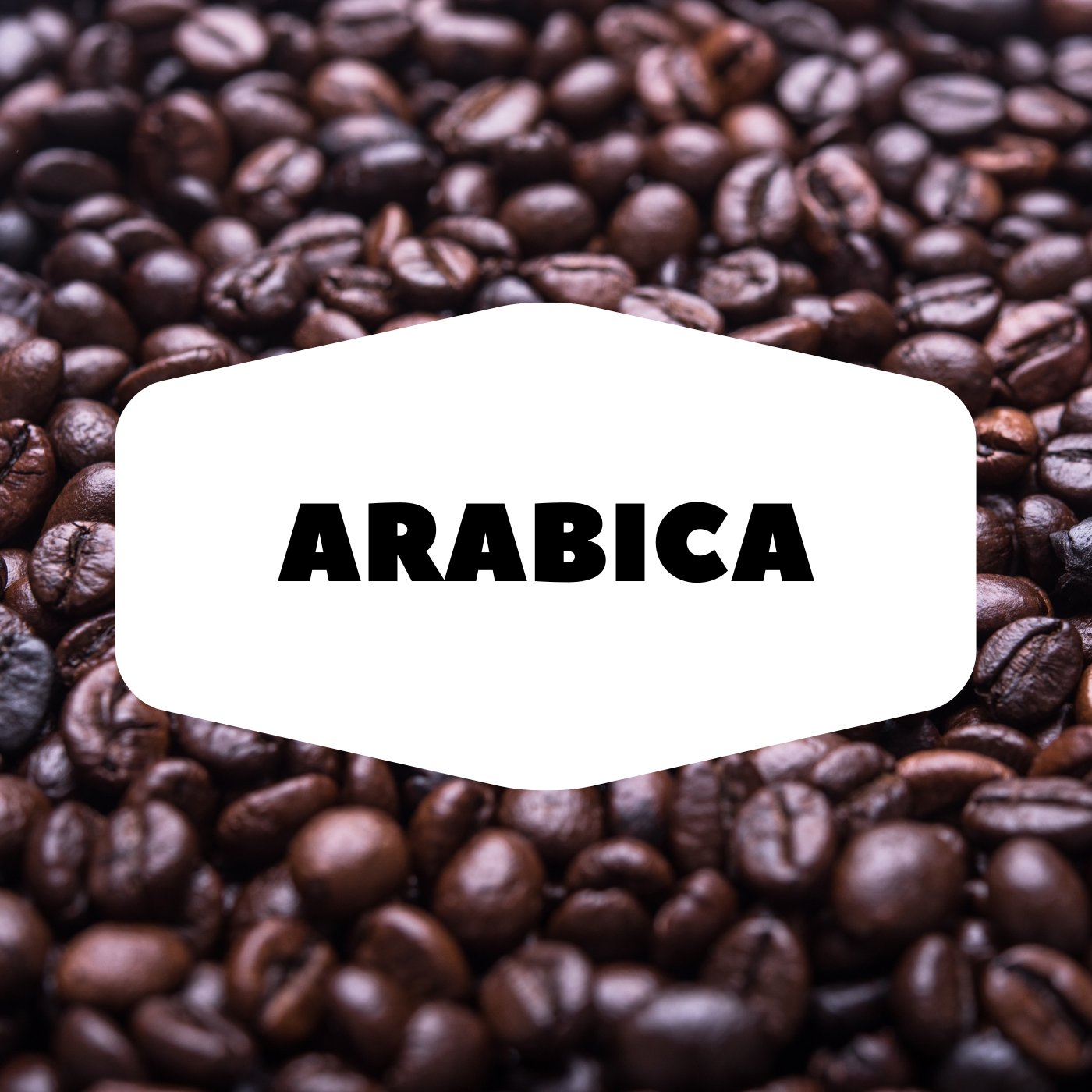 Arabica Ground Coffee - Premium Coffee Variants