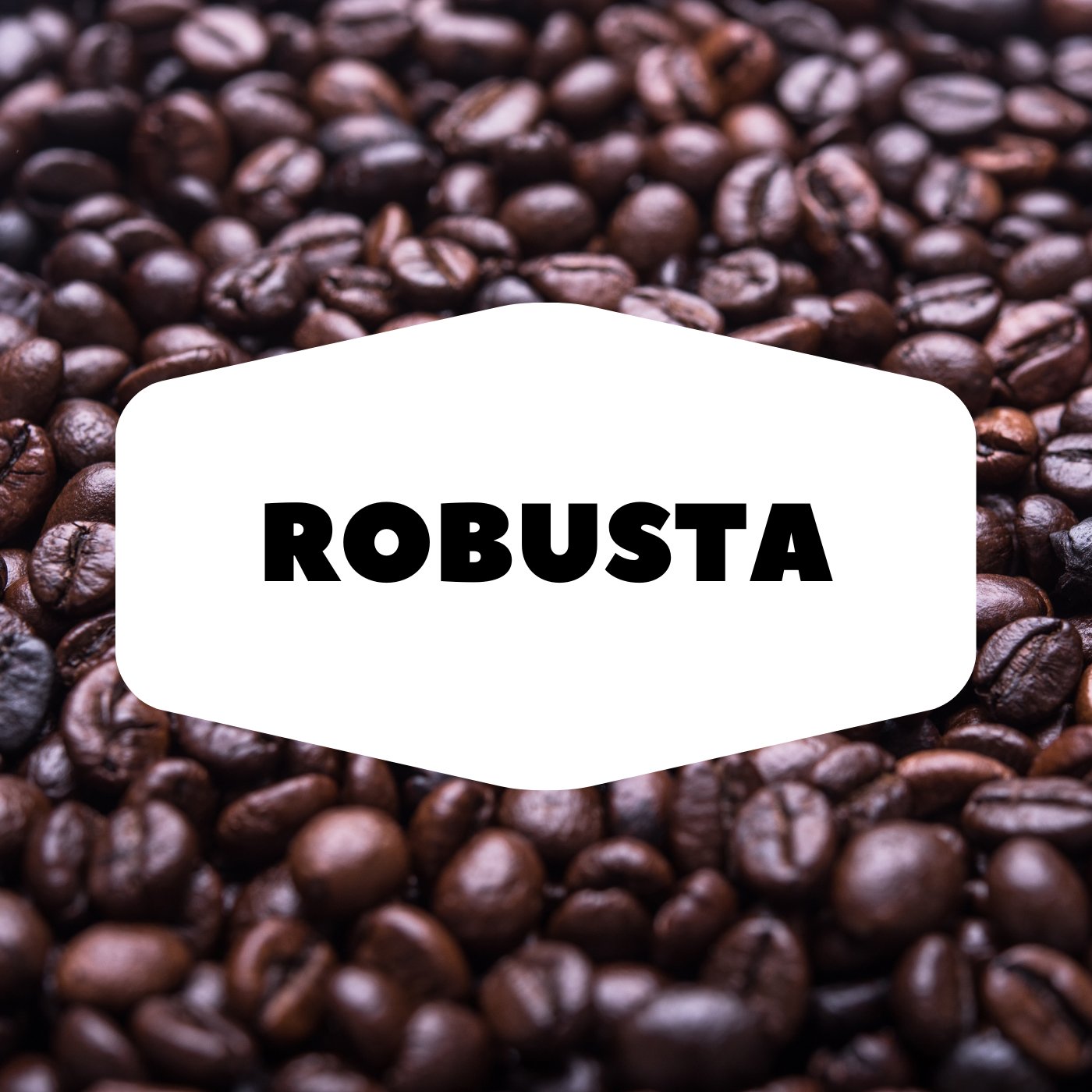 Robusta Ground Coffee - Premium Coffee Variants
