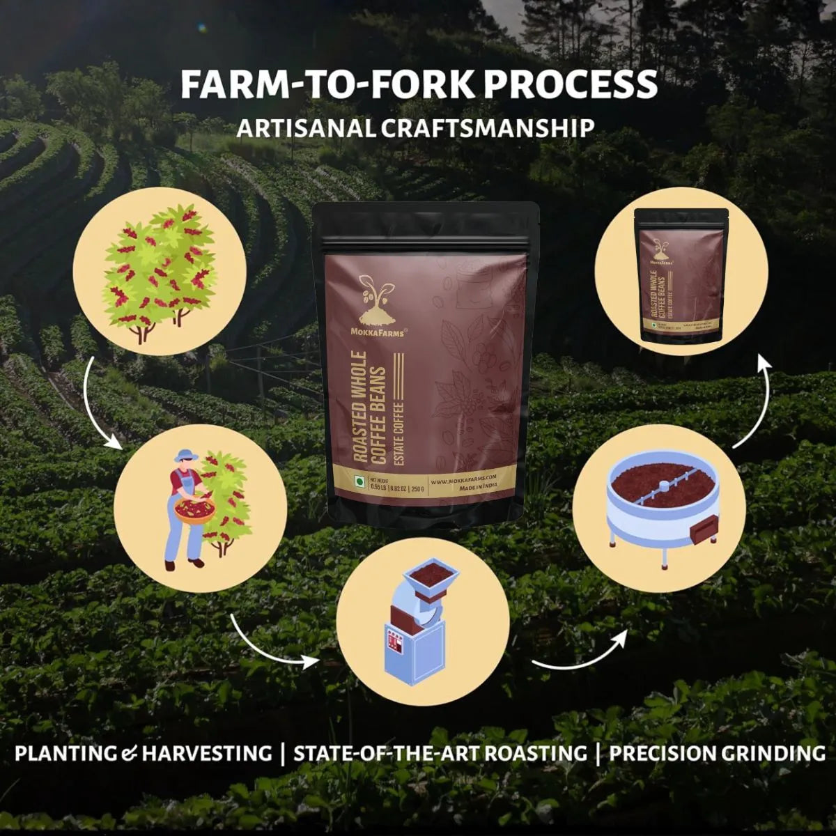 100% Robusta | Freshly Roast, A/ AA Whole Coffee Beans