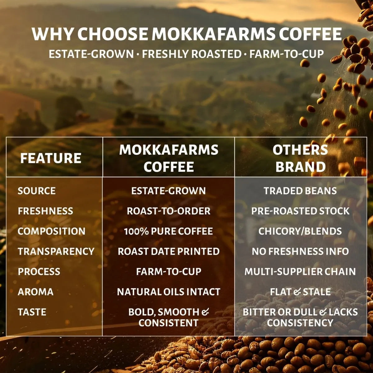 Zorin | 60% Arabica, 40% Chicory | Arabica-Chicory Filter Coffee