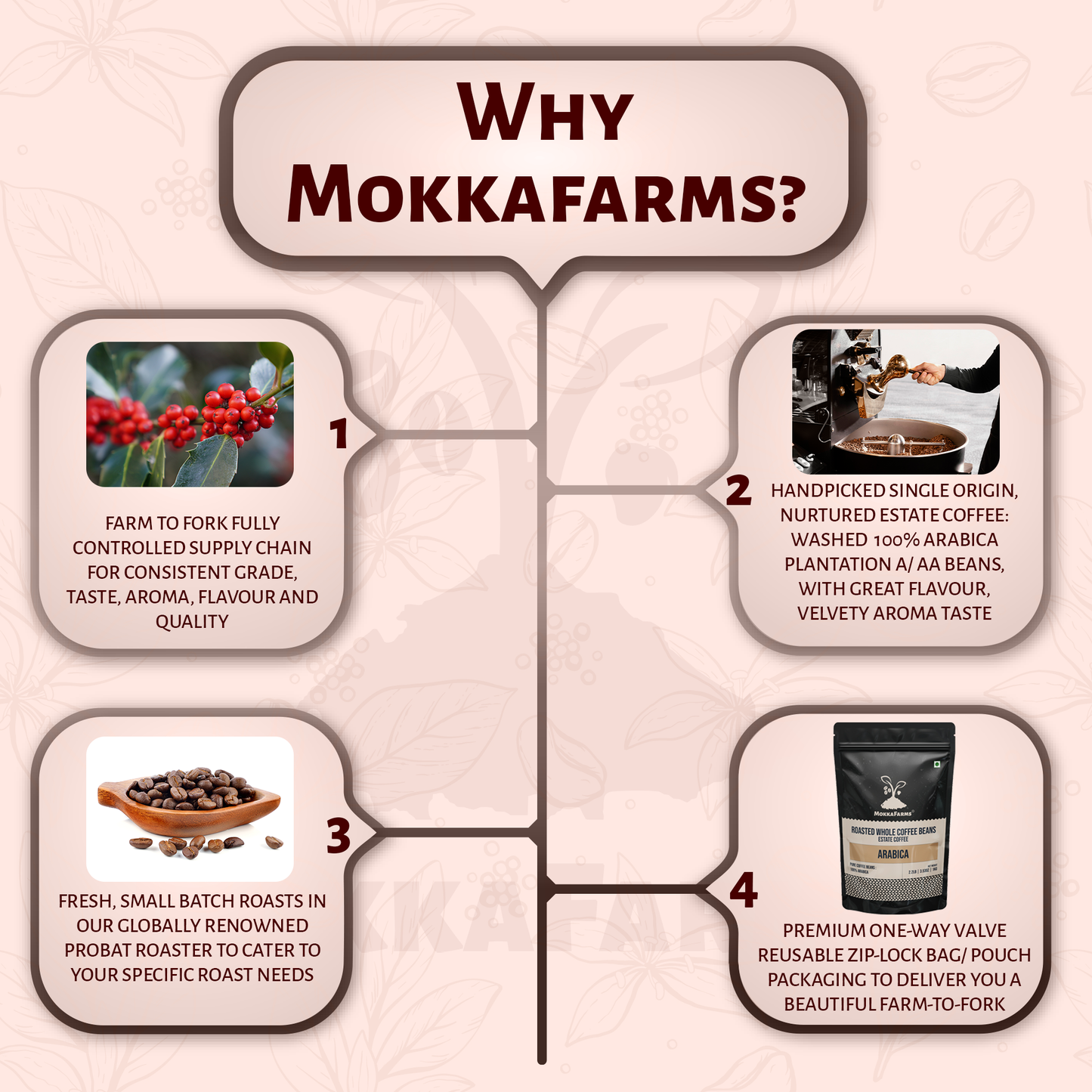 Monsoon Malabar Coffee - 100% Arabica [Specialty Coffee]