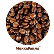 French Press - Arabica-Robusta Blend | Premium Ground Coffee